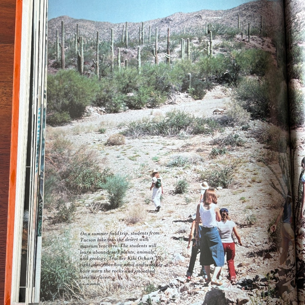 Animal Book Bundle - Picture 10 of 12